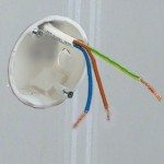 There are three ground wires in the socket.