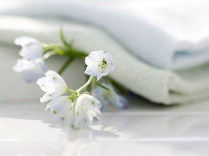 White pastel bed linen