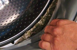 cleaning the drum seal in a washing machine