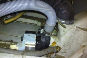 skalbimo mašinos išleidimo žarna