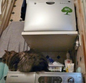 Electrolux dishwasher