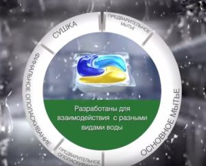 How does the capsule work?