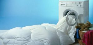 wash in a washing machine