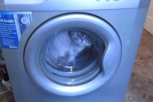 There is a foreign object in the washing machine - how to remove it?