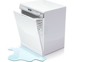 the cause of the error is a leak