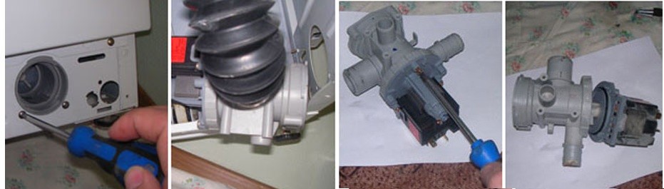 we remove the filter together with the snail and clean it