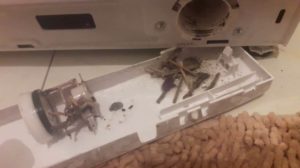 It's time to clean the trash filter.