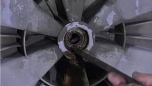 The bearings may need to be replaced.