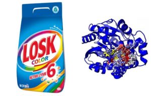 Какво представляват ензимите в перилните препарати?