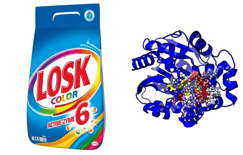 What are enzymes in laundry detergents?