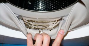 Dirt accumulates in the machine and an unpleasant odor appears.