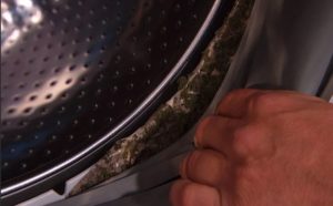 Without cleaning, the machine will become covered in mold.