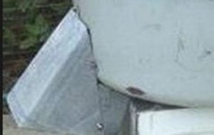 feed container and ejector