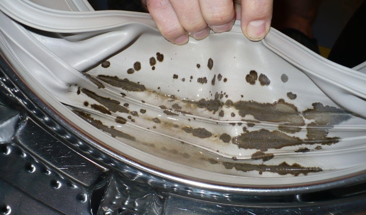 Mold on the CM hatch cuff