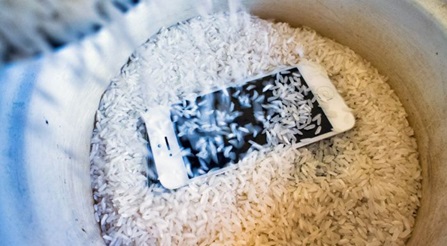 we put the phone in rice
