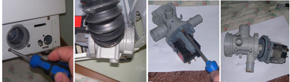 we remove the pump and separate it from the snail