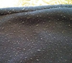 Появиха се кичури след измиване