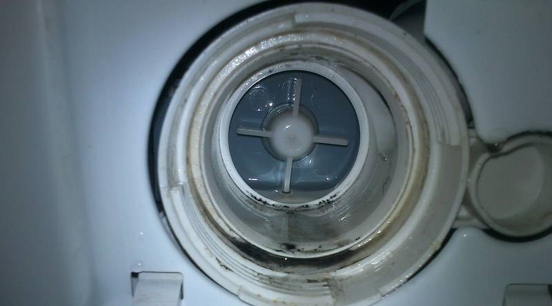 After unscrewing the filter, let's look into the snail