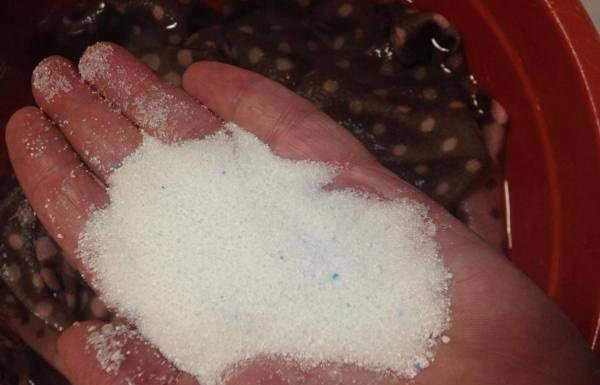 the powder did not dissolve well