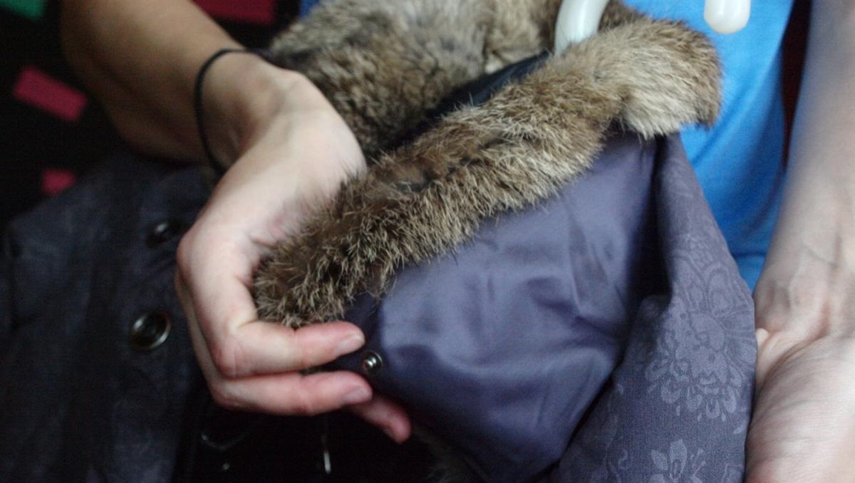removing the fur collar of a synthetic jacket