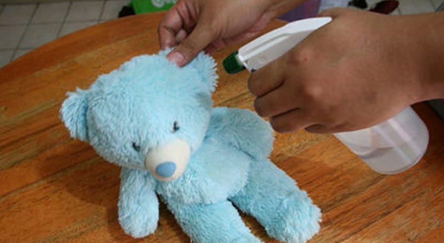 gentle cleaning of the bear