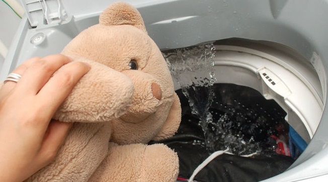 Features of washing a bear in a washing machine