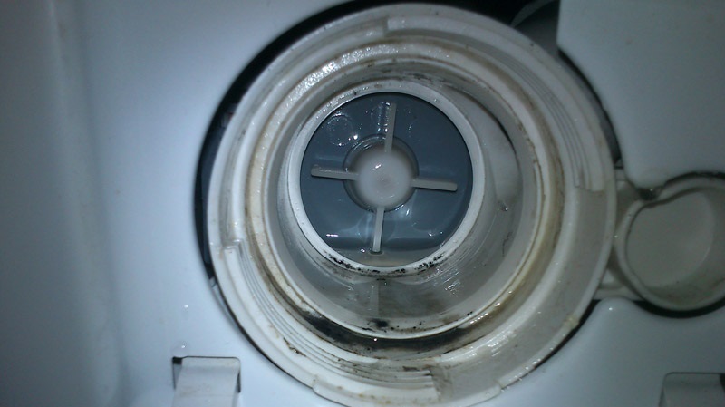 flush the snail hole