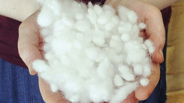 the holofiber crumpled