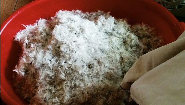 shake out the filler into a basin