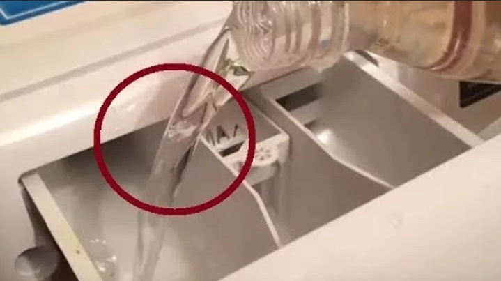 pour vinegar into the powder dispenser