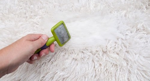 comb out the blanket with pile