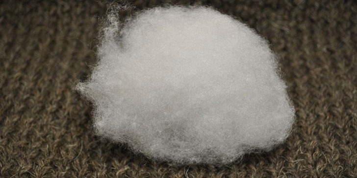 What does bio-fluff look like?