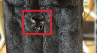 fur on a fur coat after washing in a washing machine