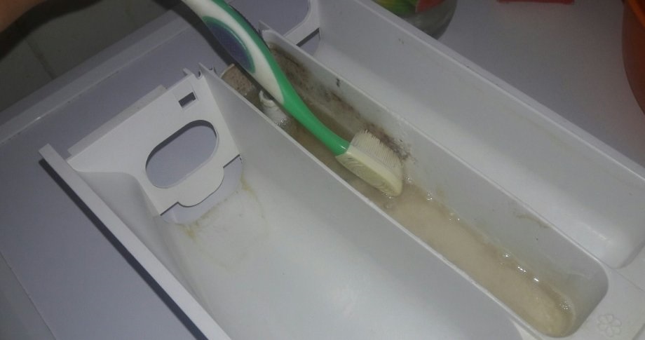 keep the litter box clean