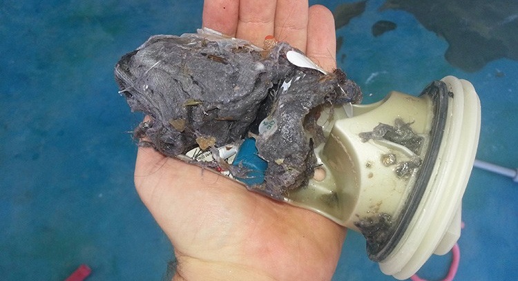 wool gets clogged in the trash filter