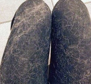 Как да перем животинска козина в пералня?