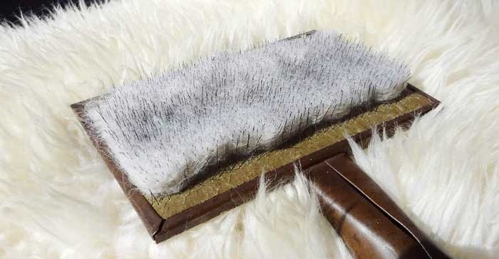 How to comb rabbit fur