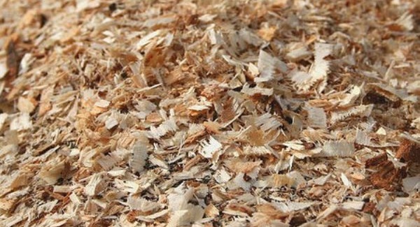 cleaning a fur coat with sawdust