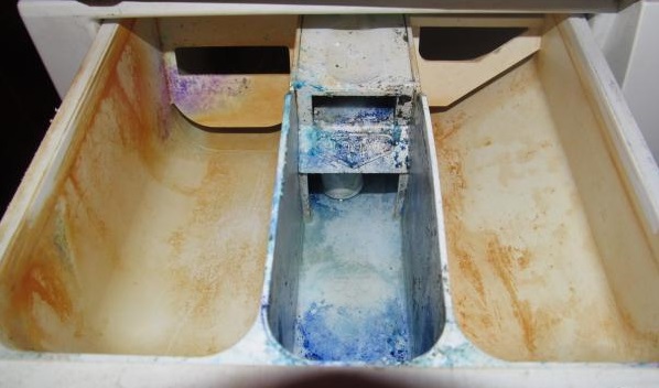clean the tray from mold