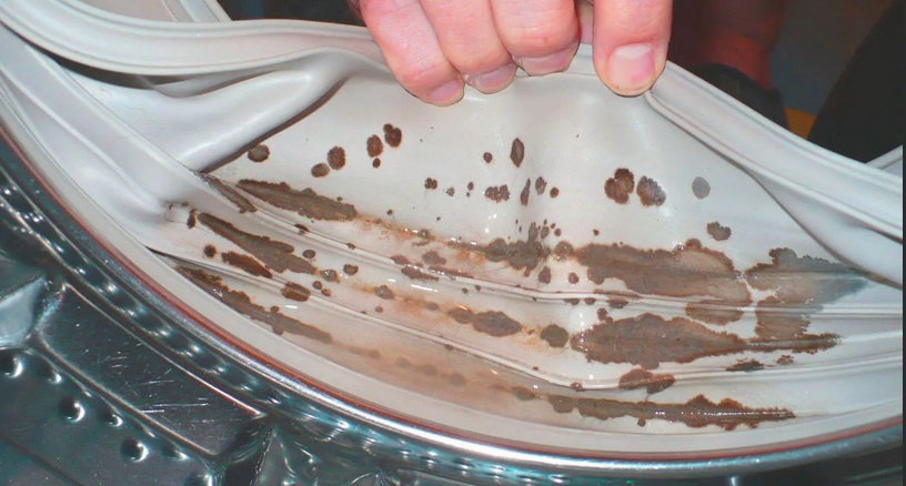 stench from mold in the washing machine