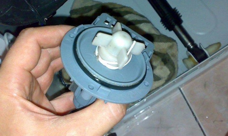 check the rotation of the impeller