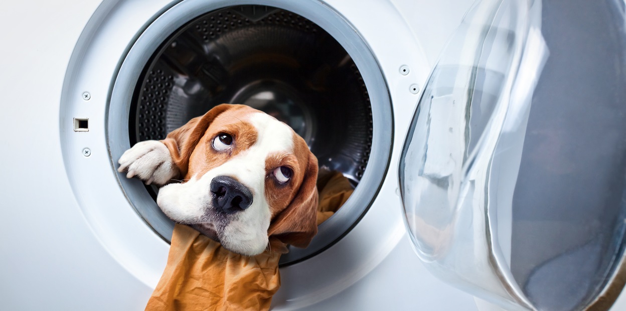 Animal hair contaminates the filter faster