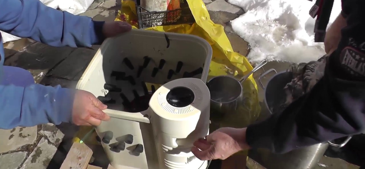 testing of a feather plucking machine