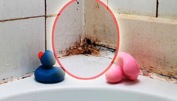 fight dampness indoors