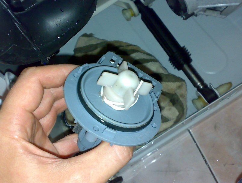 The washing machine drain pump is leaking.