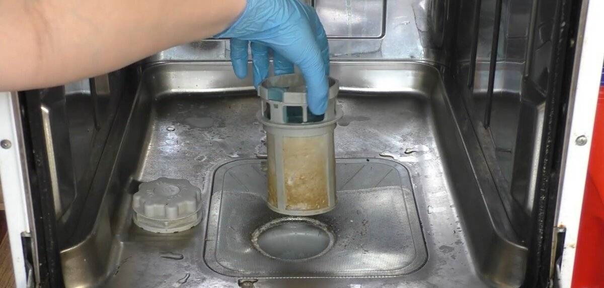 We thoroughly wash the dirty dishwasher filter