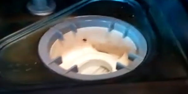 we remove the plastic cover and seal