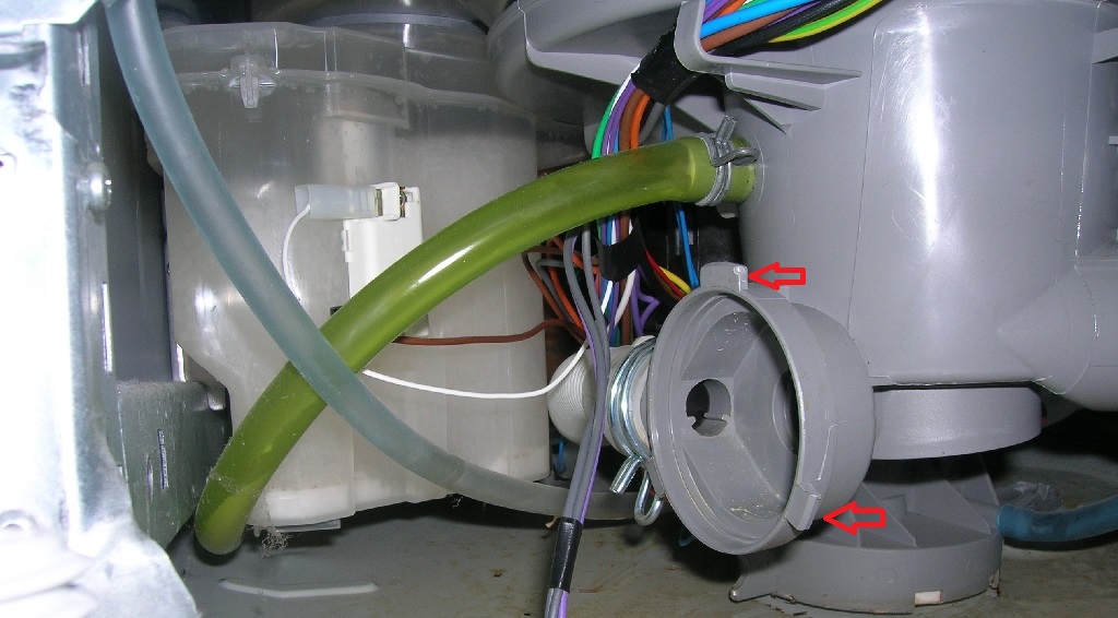 eyes on the dishwasher snail