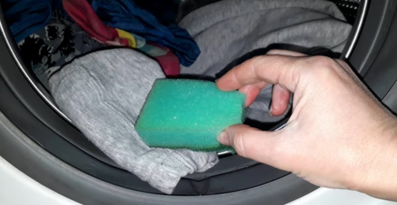 put a new sponge in the machine