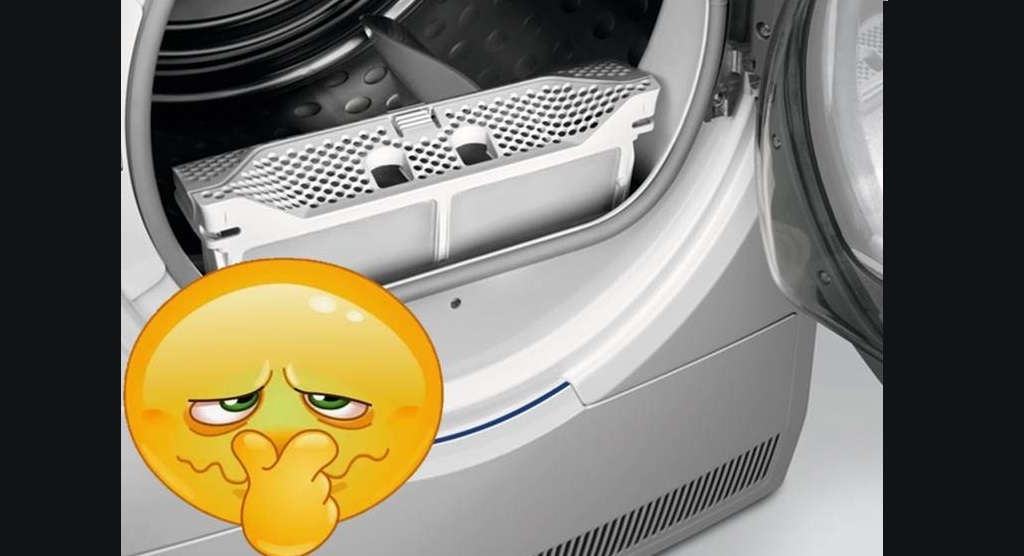 the dryer smells bad